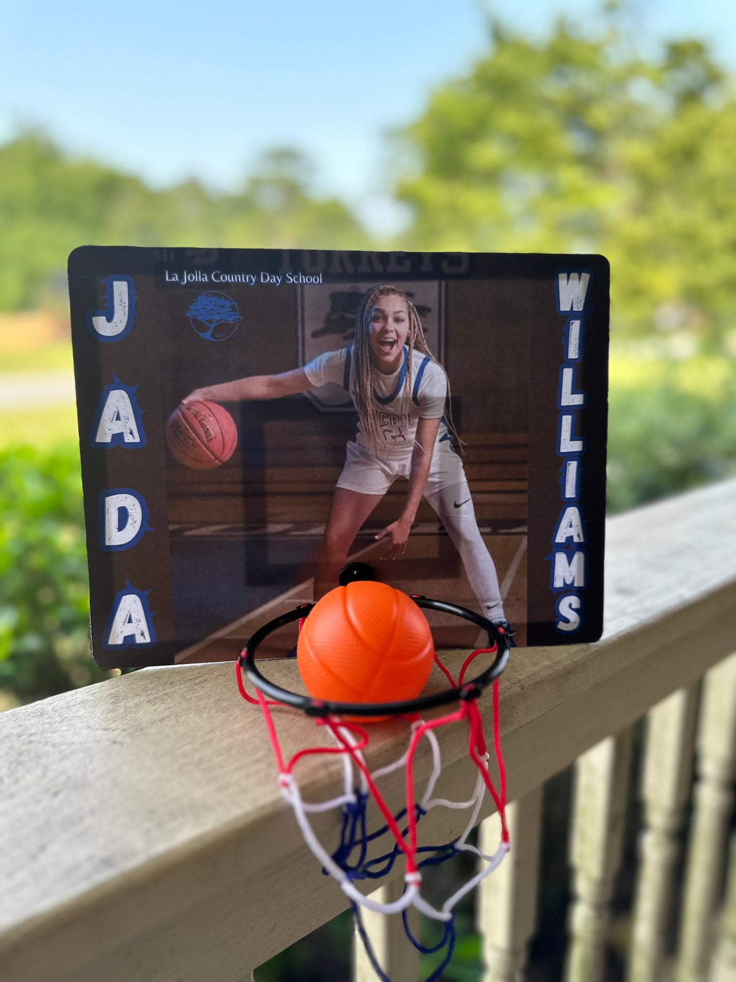 Mini Basketball Hoop Set, Mini Basketball Hoop, Basketball Hoop Set, Mini Basketball, Basketball Goal, Photo Backboard, Basketball Backboard