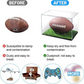 Premium Ball Cases and Stands | Display Your Sports Memorabilia in Style