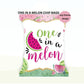 One In A Melon Chip Bag, Party Chip Bag, Watermelon Party Favor, One In A Melon Birthday Party Favor, Birthday Party, Girls Birthday Party