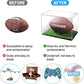 Football Case, Ball Display Case for Football , Football Case, Acrylic Case for Sport Ball, Football Storage Display Case, Acrylic Case
