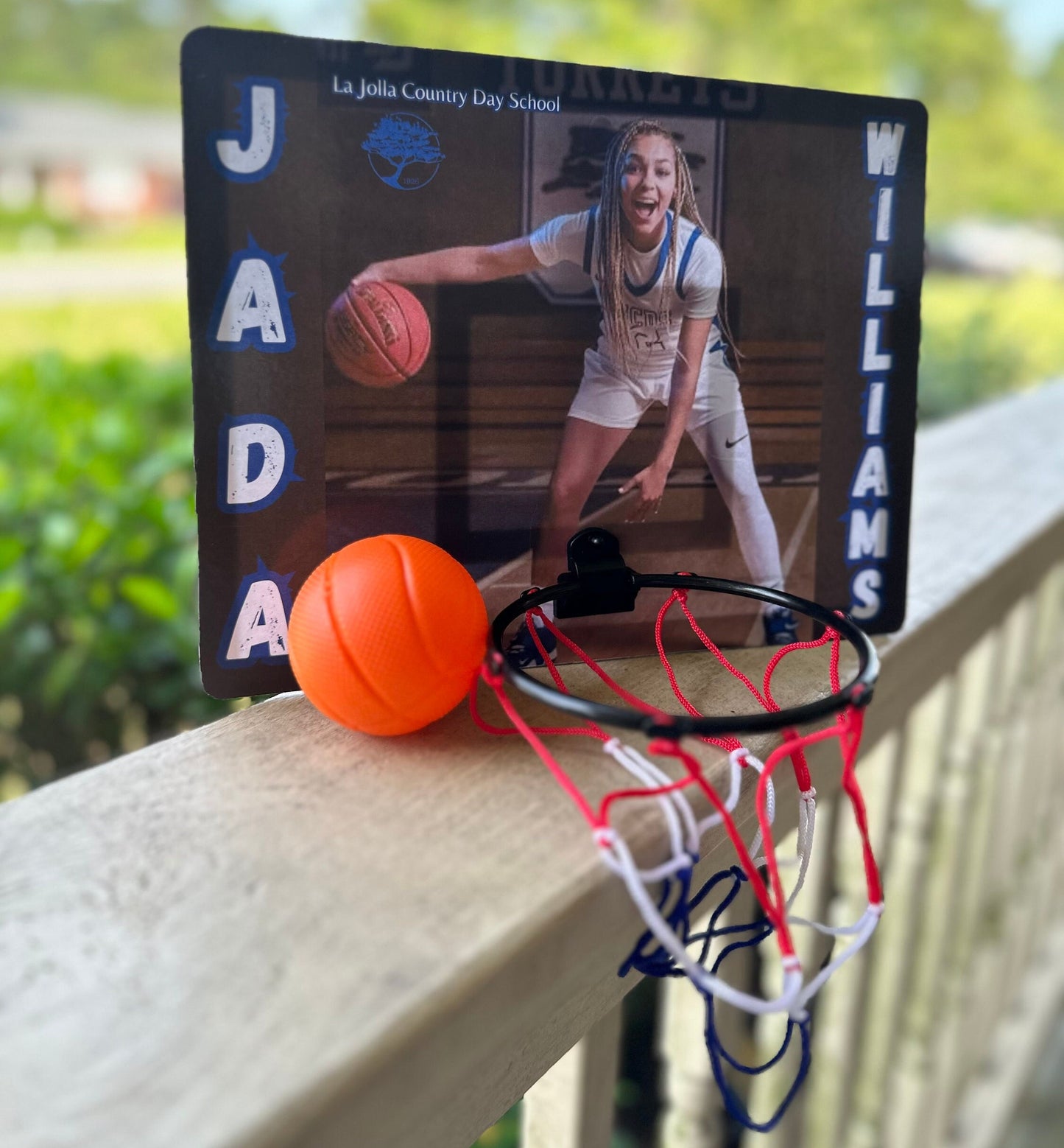 Mini Basketball Hoop Set, Mini Basketball Hoop, Basketball Hoop Set, Mini Basketball, Basketball Goal, Photo Backboard, Basketball Backboard