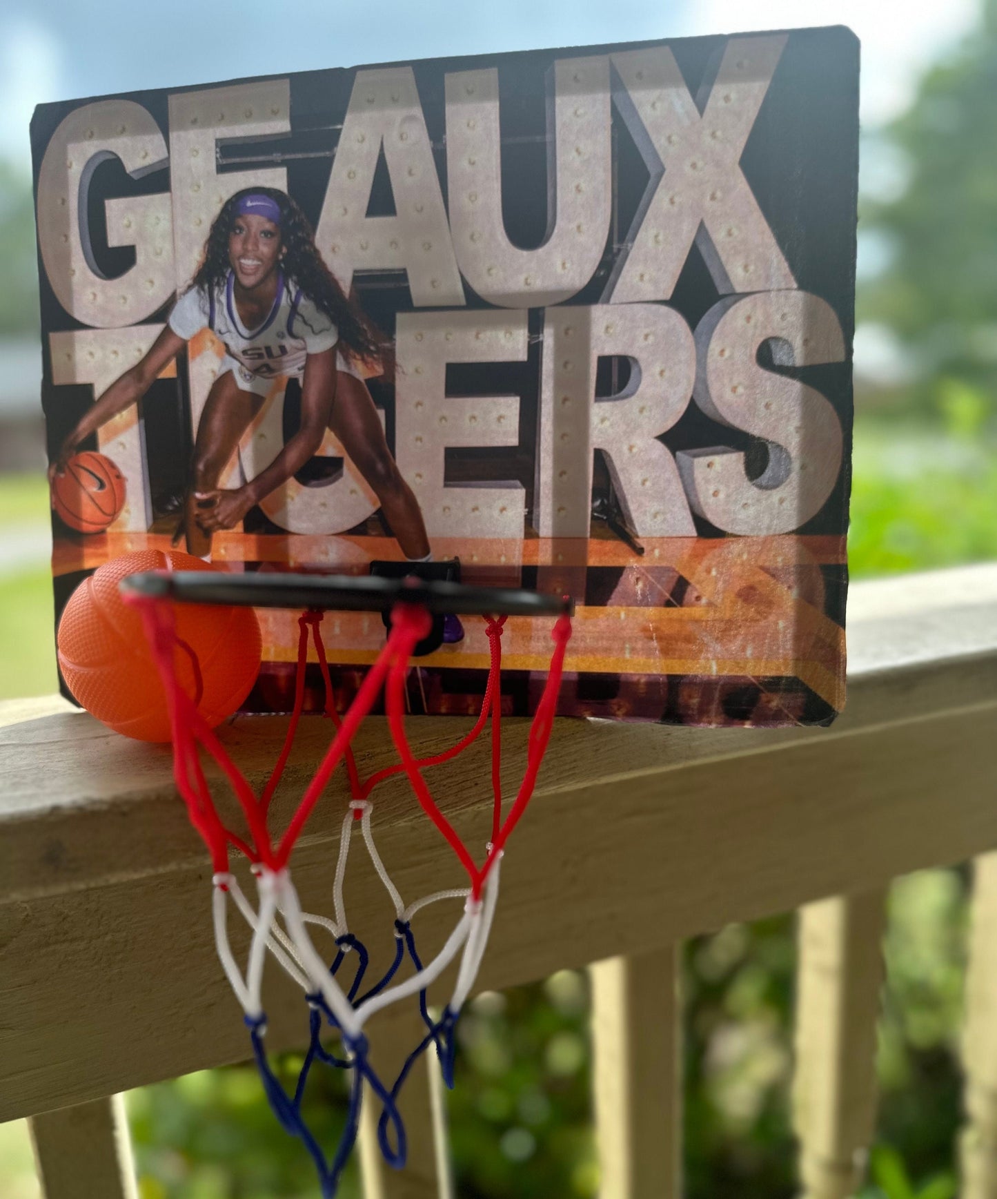 Mini Basketball Hoop Set, Mini Basketball Hoop, Basketball Hoop Set, Mini Basketball, Basketball Goal, Photo Backboard, Basketball Backboard